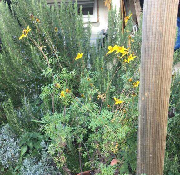 مبيت وإفطار Villa Dolne Saliby