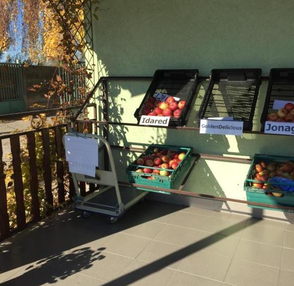 Bed and Breakfast Villa Dolne Saliby