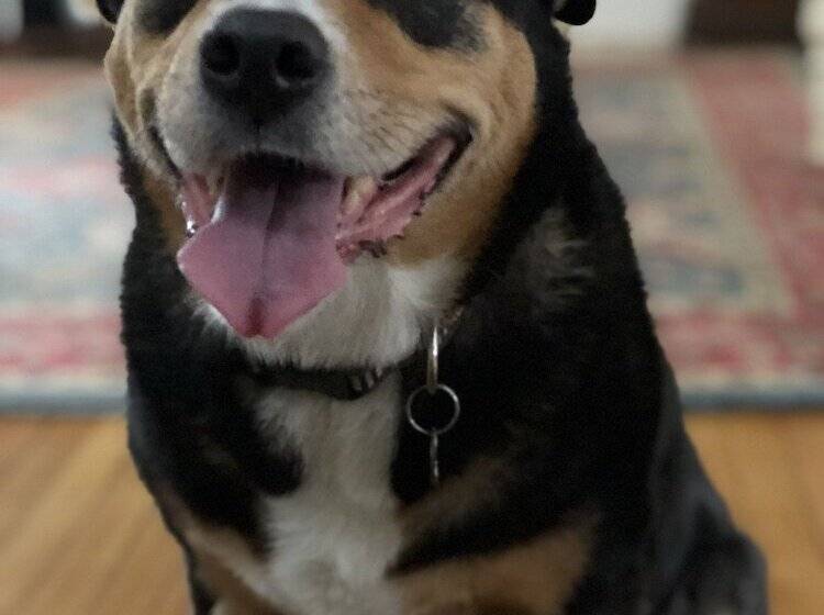 Guilford Bed And Breakfast