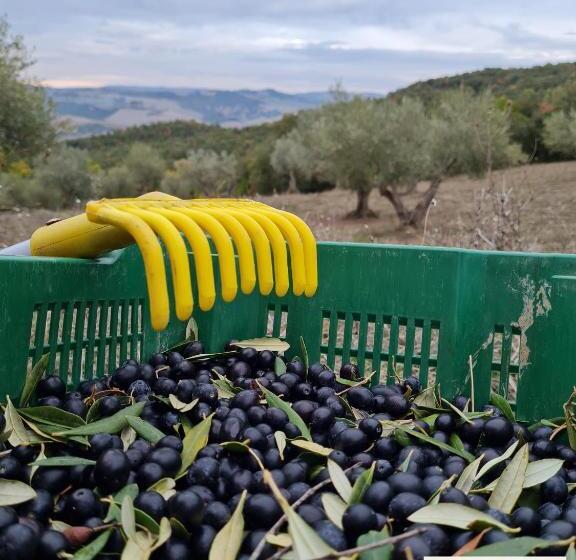 Отель Agriturismo Il Paradiso Di Berignone