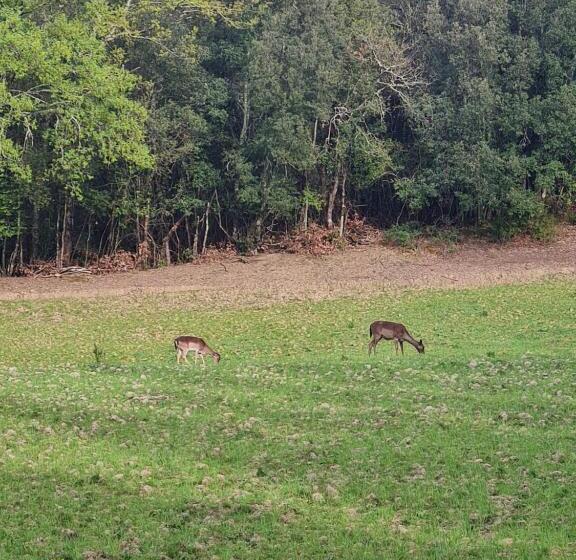 Отель Agriturismo Il Paradiso Di Berignone