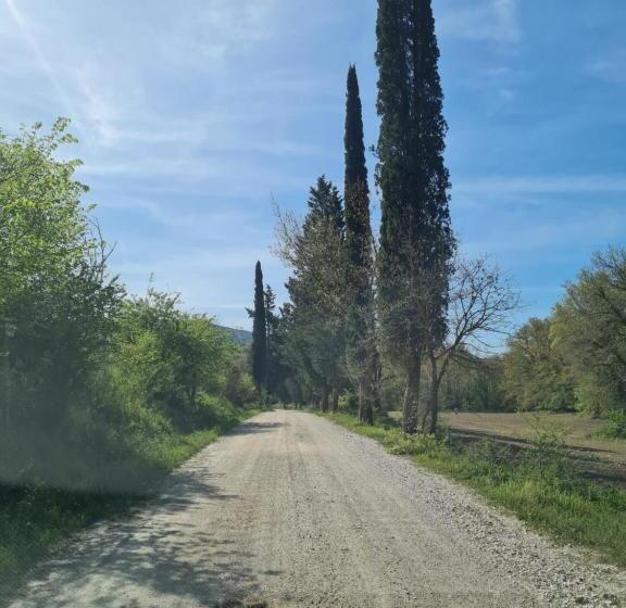 Отель Agriturismo Il Paradiso Di Berignone