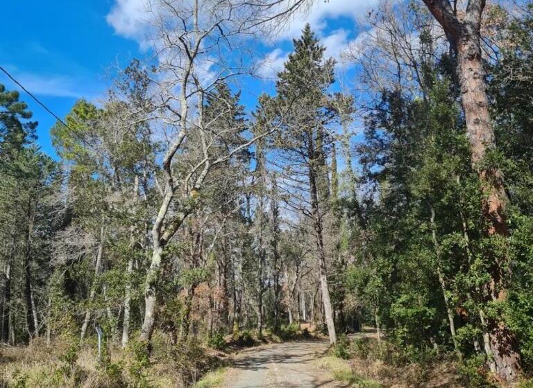 호텔 Agriturismo Il Paradiso Di Berignone