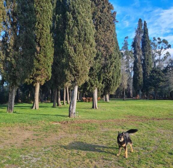 هتل Agriturismo Il Paradiso Di Berignone