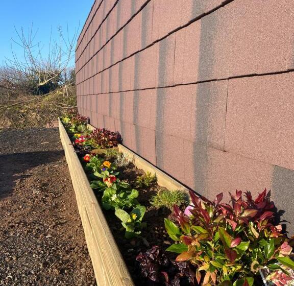 Отель Bryn Glamping