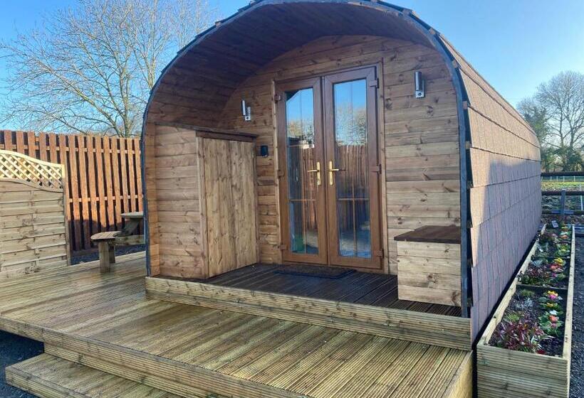 Отель Bryn Glamping