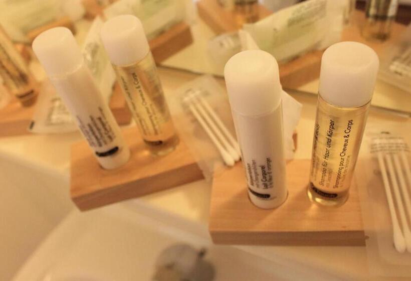 酒店 Hôtel Du Lion D Or