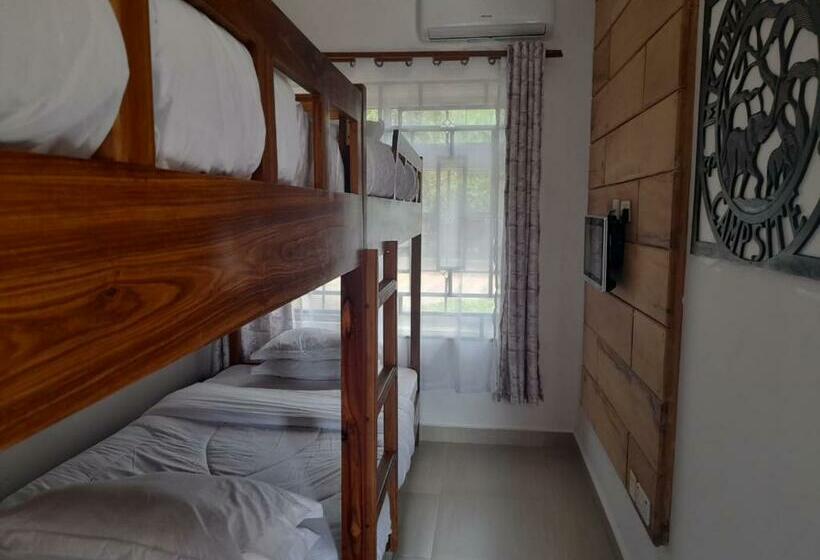 Mkomazi Hotels And Camps