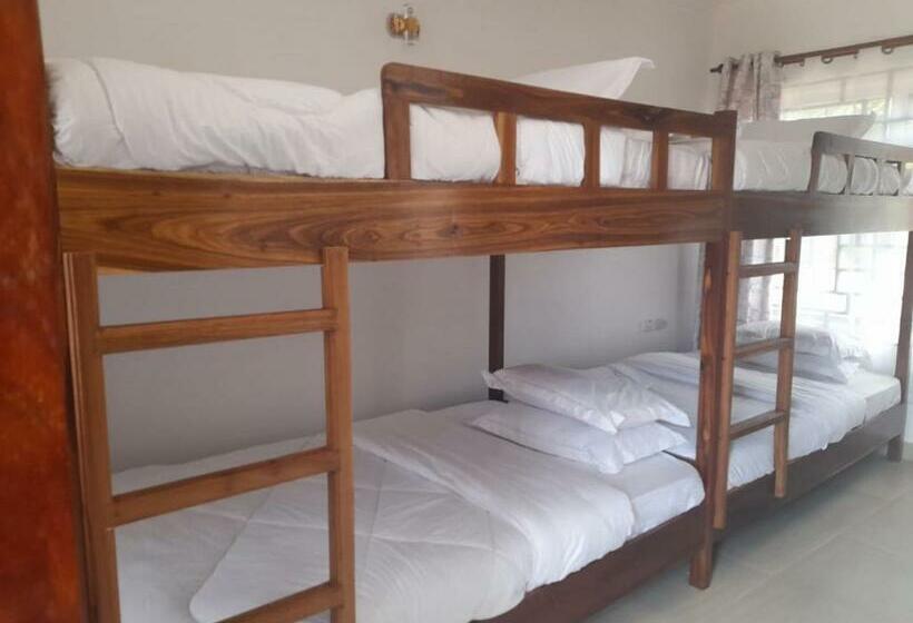 Mkomazi Hotels And Camps