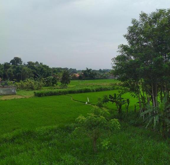 ホテル Penginapan Banyu Biruku