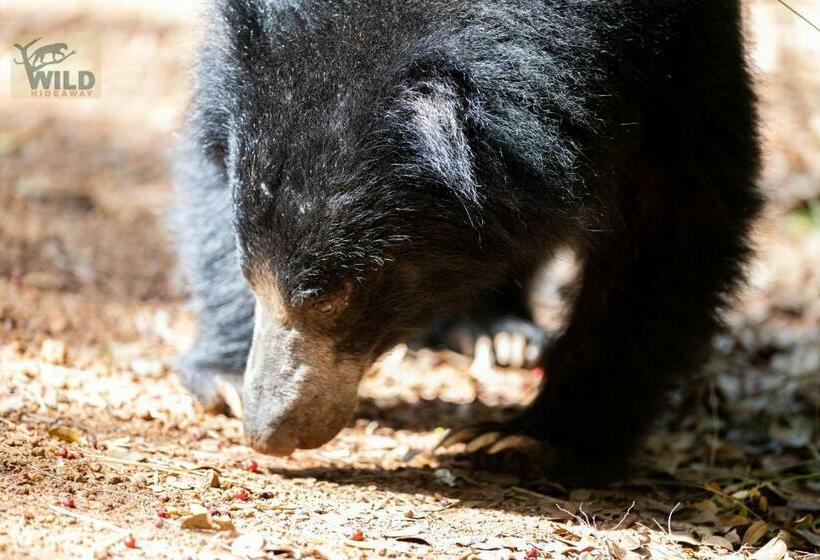 فندق Wilpattu Wildhideaway