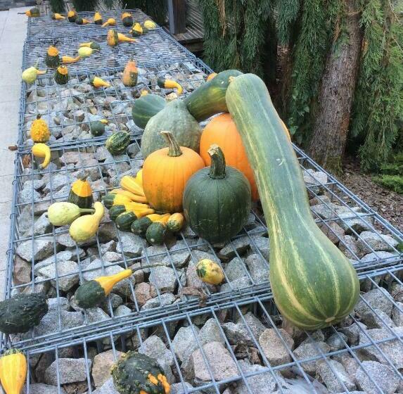 بنسيون Aux Neuf Saules