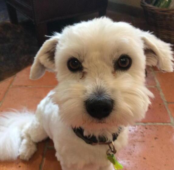 بنسيون Casa La Rosa & Spa