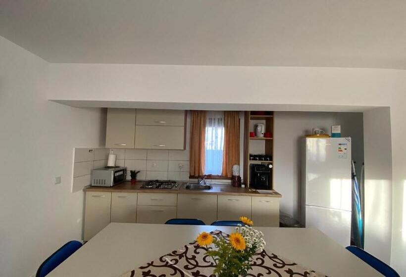 Пансион Casa Mocanu