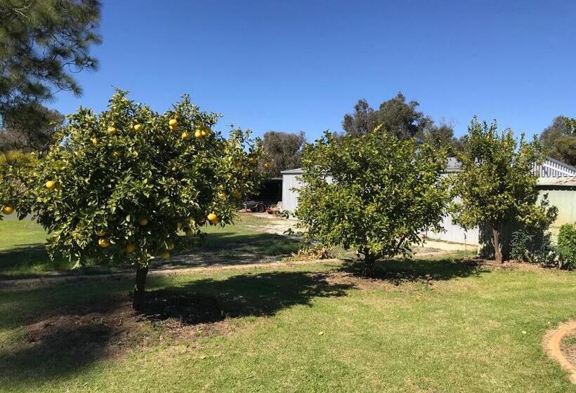 Pensão Cockburn Retreat Home 柏斯悠閒民宿