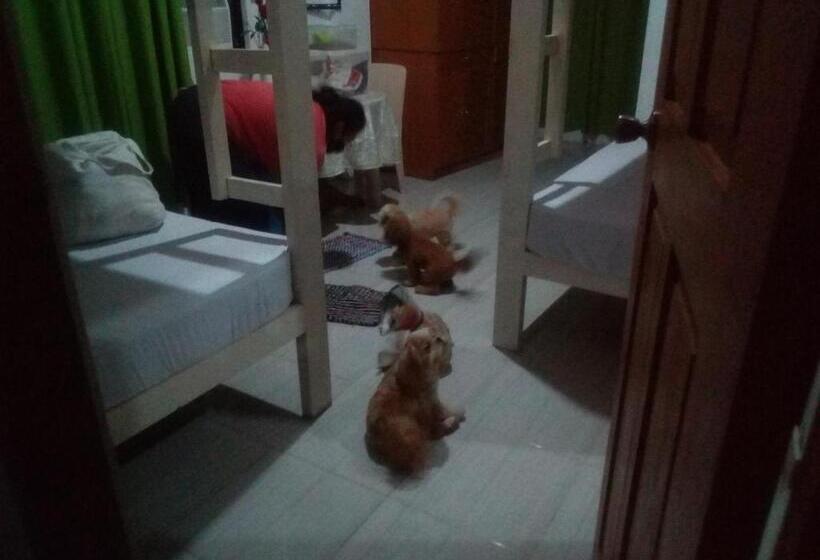 펜션 Ellens Homestay