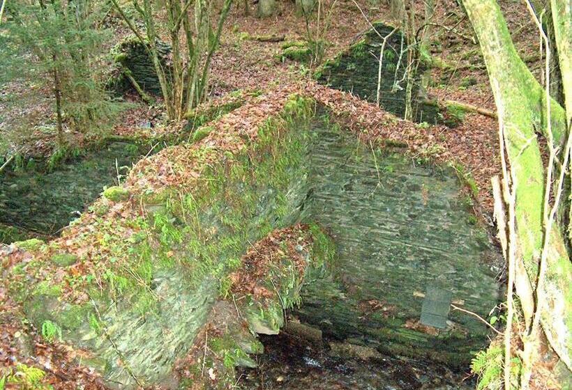 ペンション Gästehaus Sonnenhöhe Ihre Erlebnis Programm Schmiede