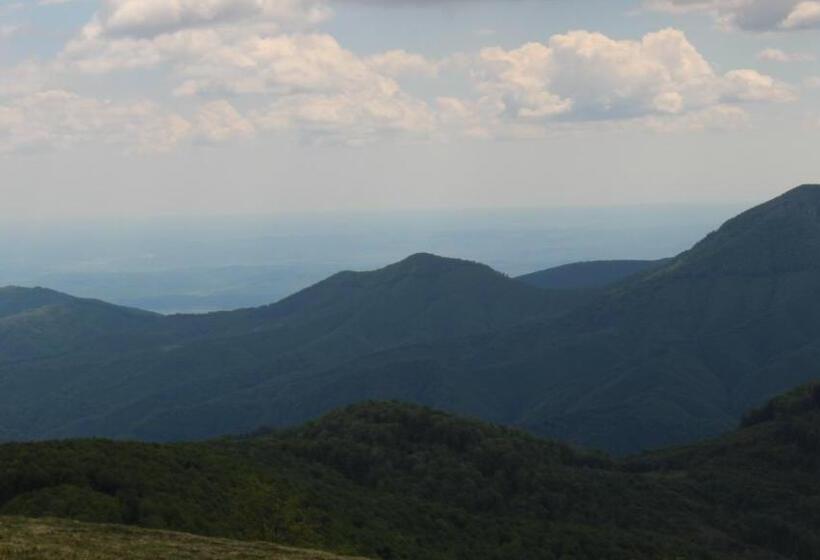 ペンション Hanul Vanatorului