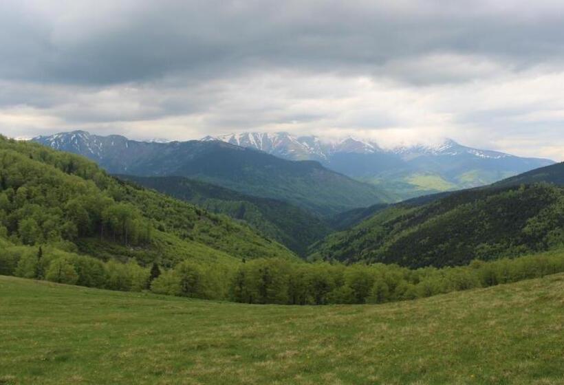 ペンション Hanul Vanatorului