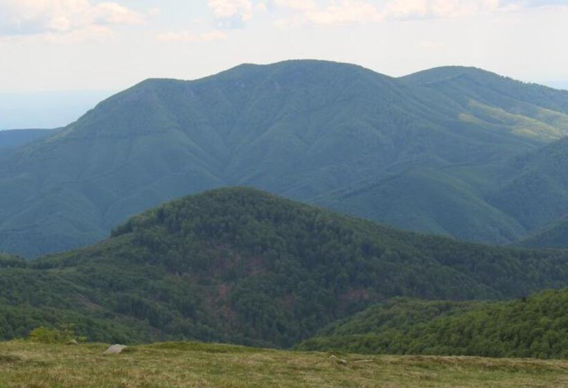 ペンション Hanul Vanatorului