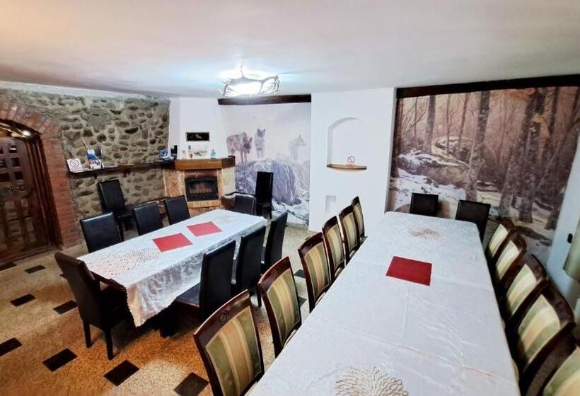 ペンション Hanul Vanatorului