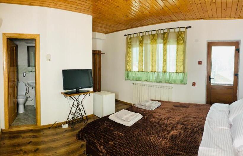 ペンション Hanul Vanatorului