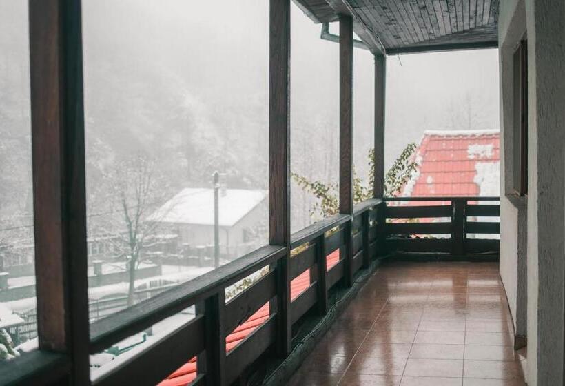 ペンション Hanul Vanatorului