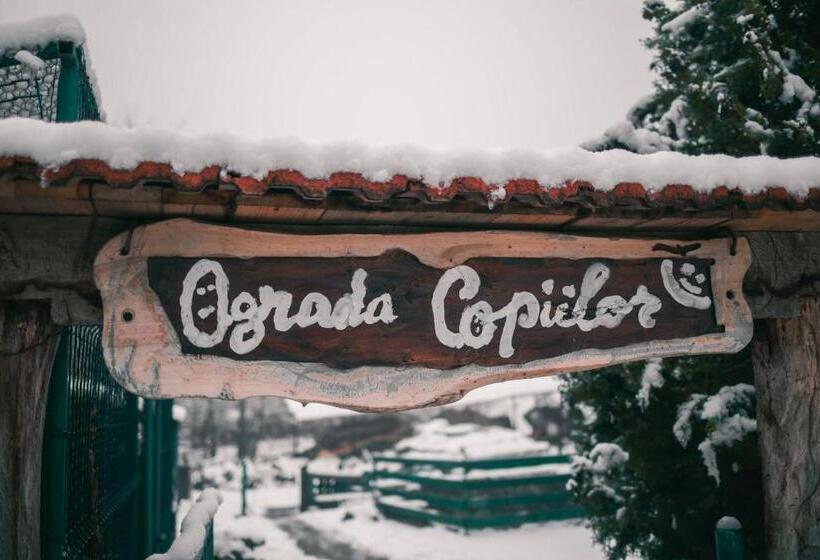 ペンション Hanul Vanatorului