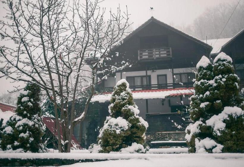 ペンション Hanul Vanatorului