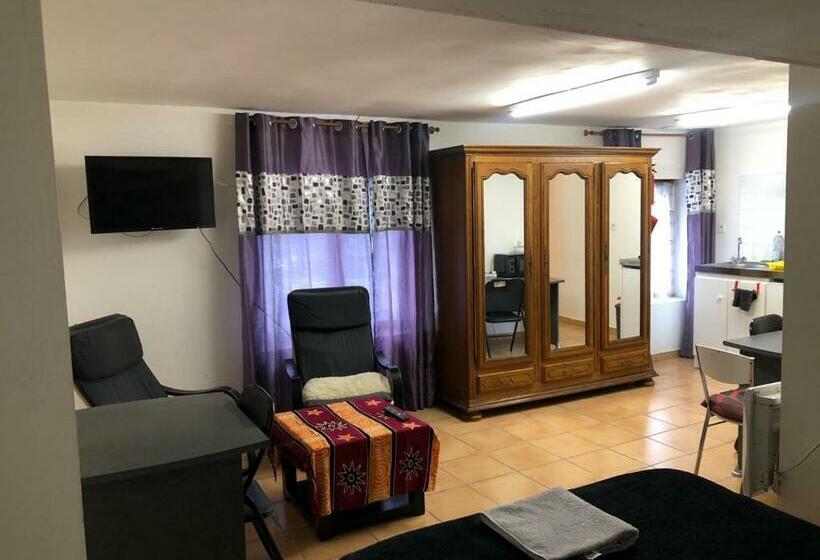 Пансион Locations De La Centrale De Belleville