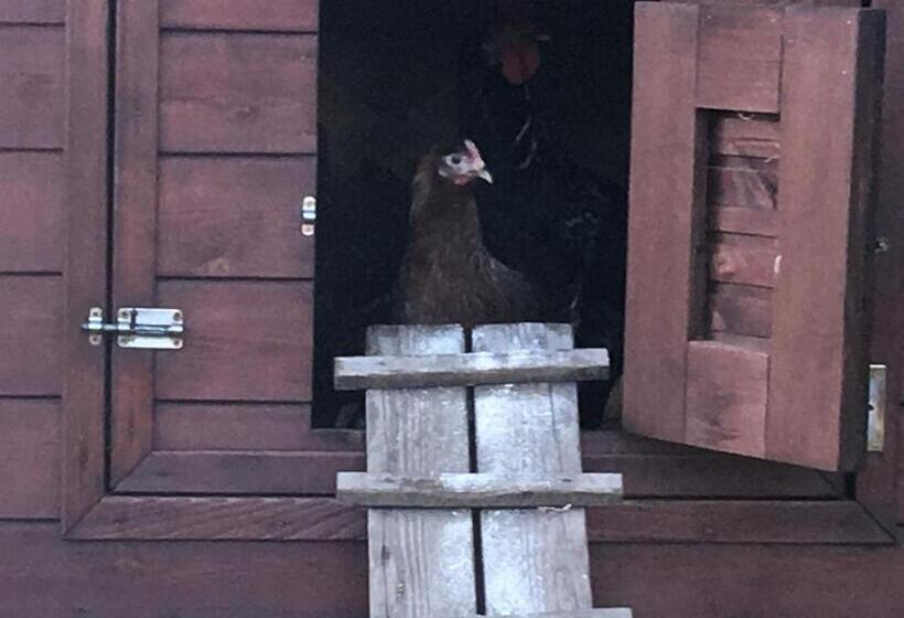 بنسيون Home Vendégház