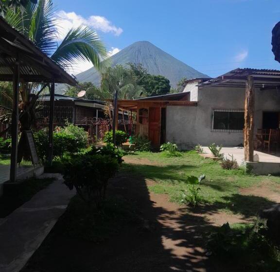 بنسيون Hostal Bullshark