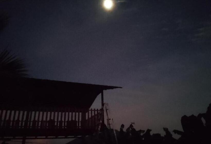 بنسيون Hostal Bullshark