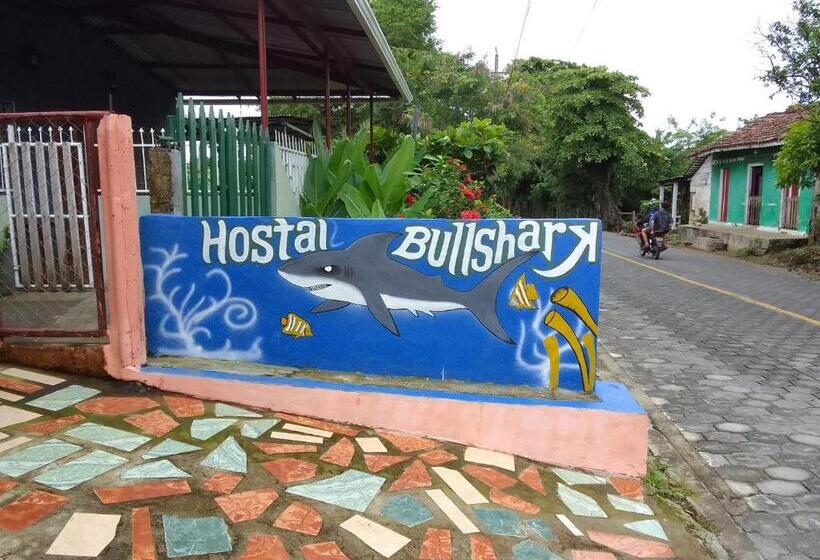 بنسيون Hostal Bullshark
