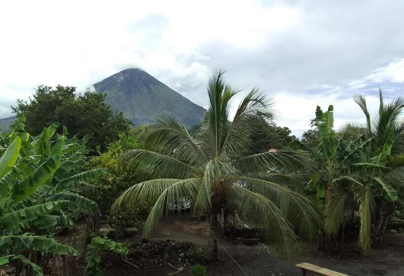 بنسيون Hostal Bullshark