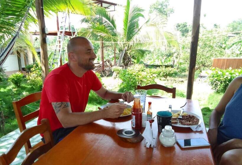 بنسيون Hostal Bullshark