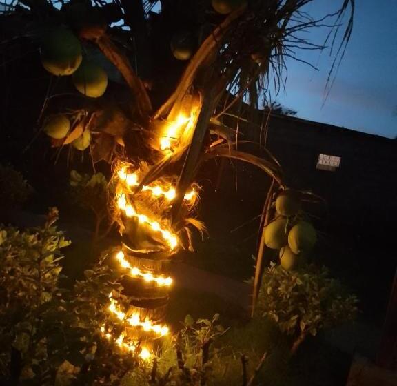 بنسيون Hostal Bullshark