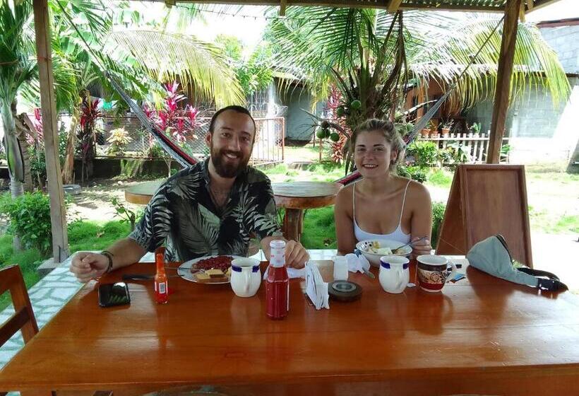 بنسيون Hostal Bullshark