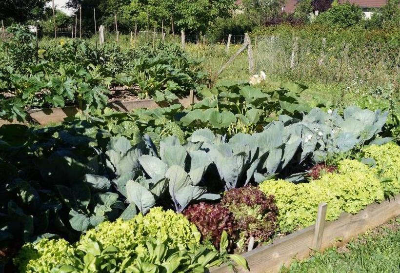 펜션 L Ancienne Cure