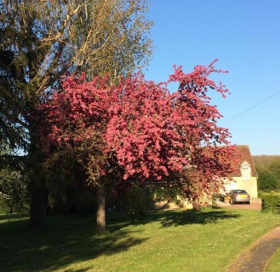 Пансион La Petite Jucherie