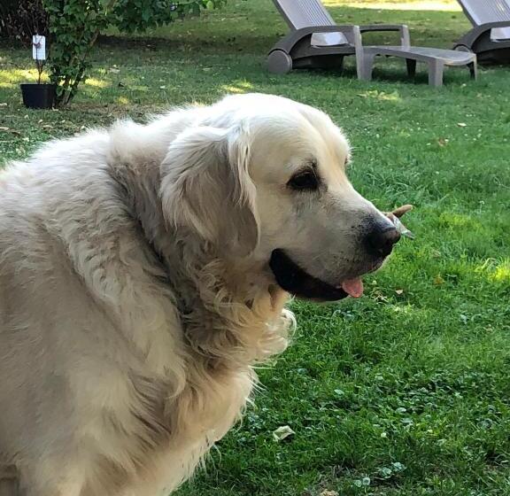 Пансион La Petite Jucherie