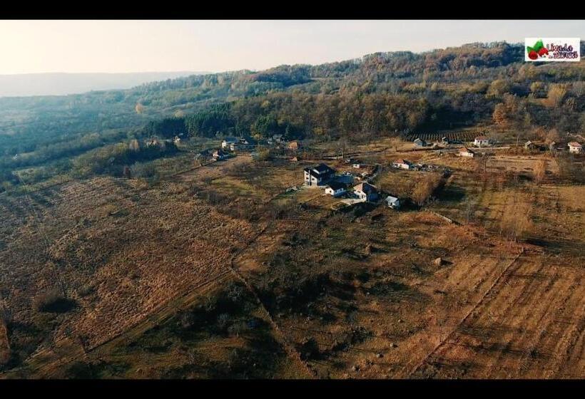 펜션 Livada De Zmeura