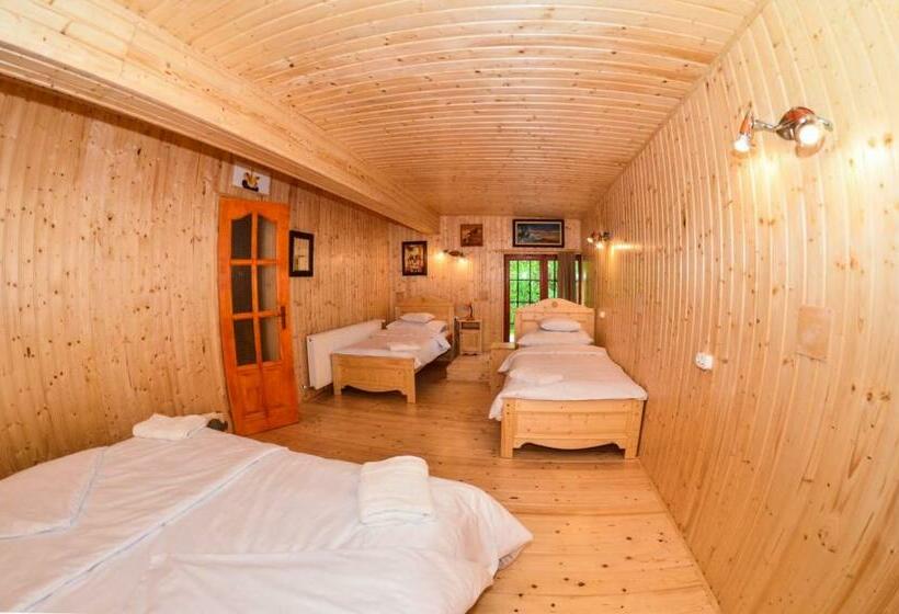 بنسيون Malom Apartman