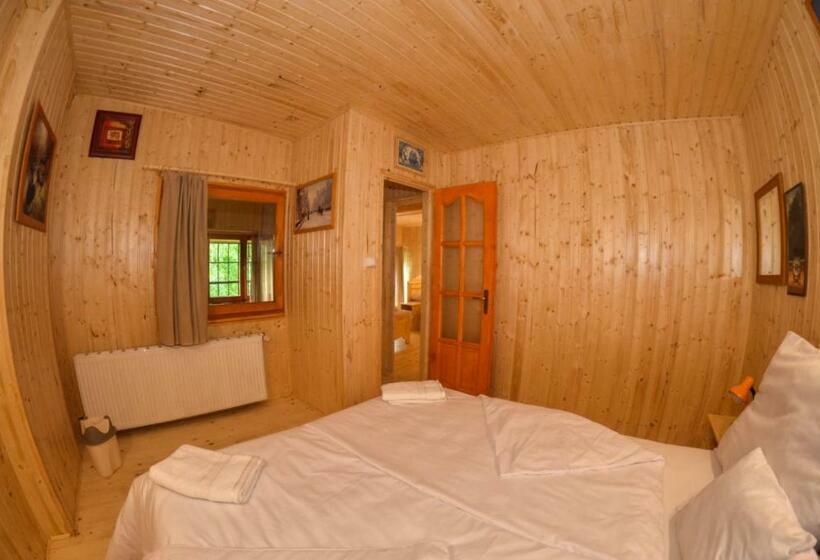 بنسيون Malom Apartman