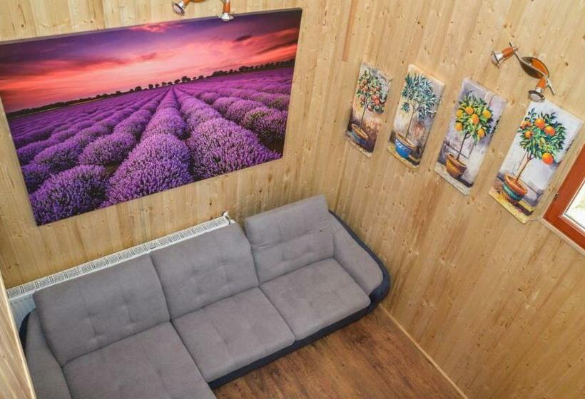 بنسيون Malom Apartman