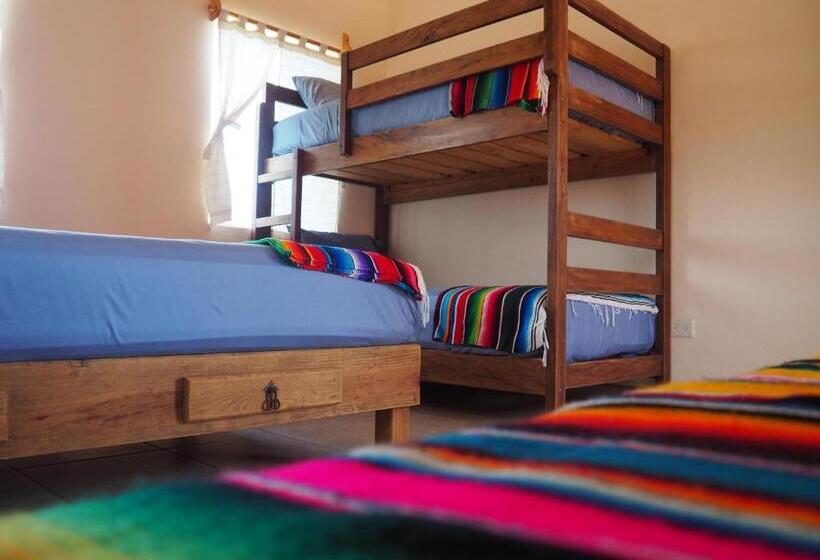 膳宿费 Mision Surf