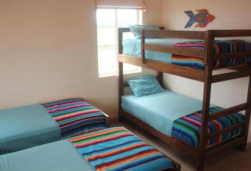 膳宿费 Mision Surf