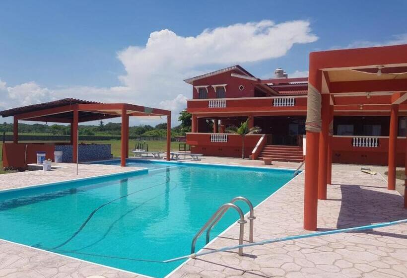 膳宿费 Mision Surf