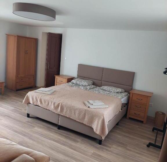 פנסיון Máré Vára Vendégház