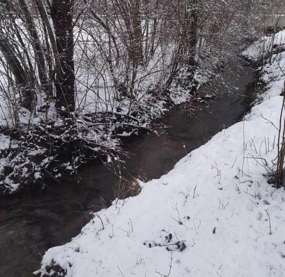 פנסיון Máré Vára Vendégház